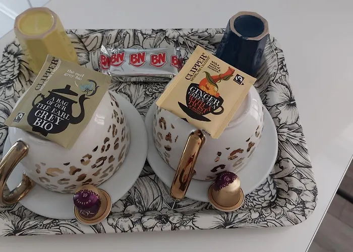 Puces De Vanves